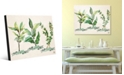Creative Gallery Herb Trio in Green on Tan Acrylic Wall Art Print Collection
